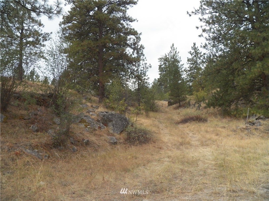 -tbd Cayuse Mountain Road Tonasket, WA 98855 - Photo 3 of 24 Gallery Image 3