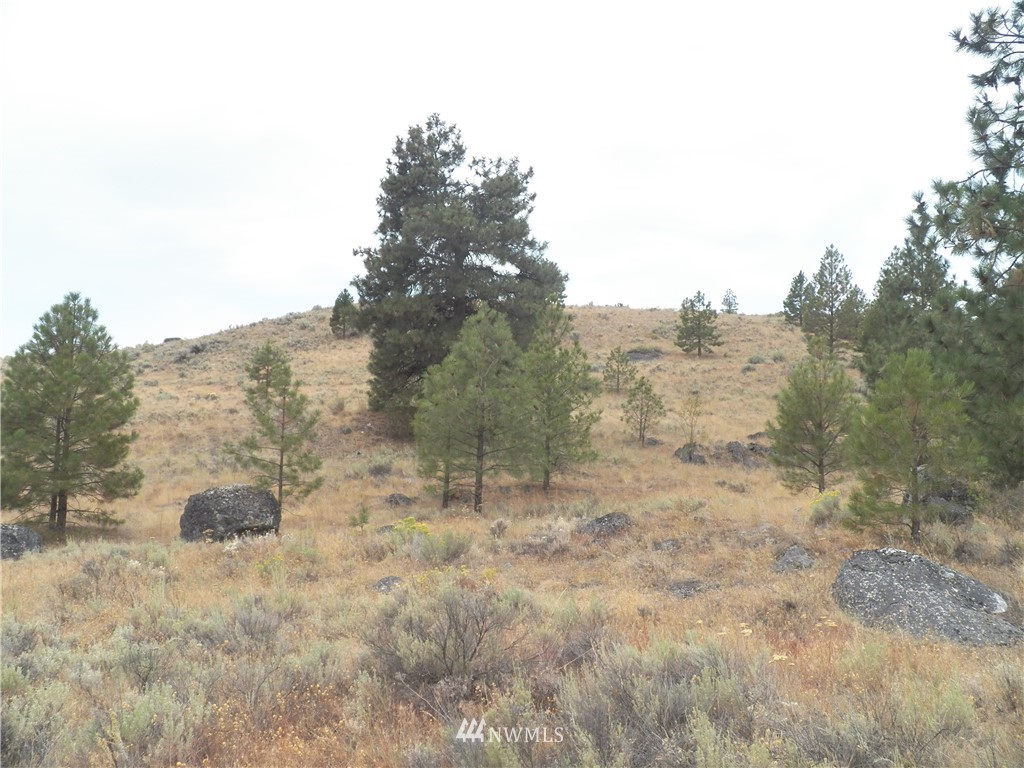 -tbd Cayuse Mountain Road Tonasket, WA 98855 - Photo 21 of 24 Gallery Image 21