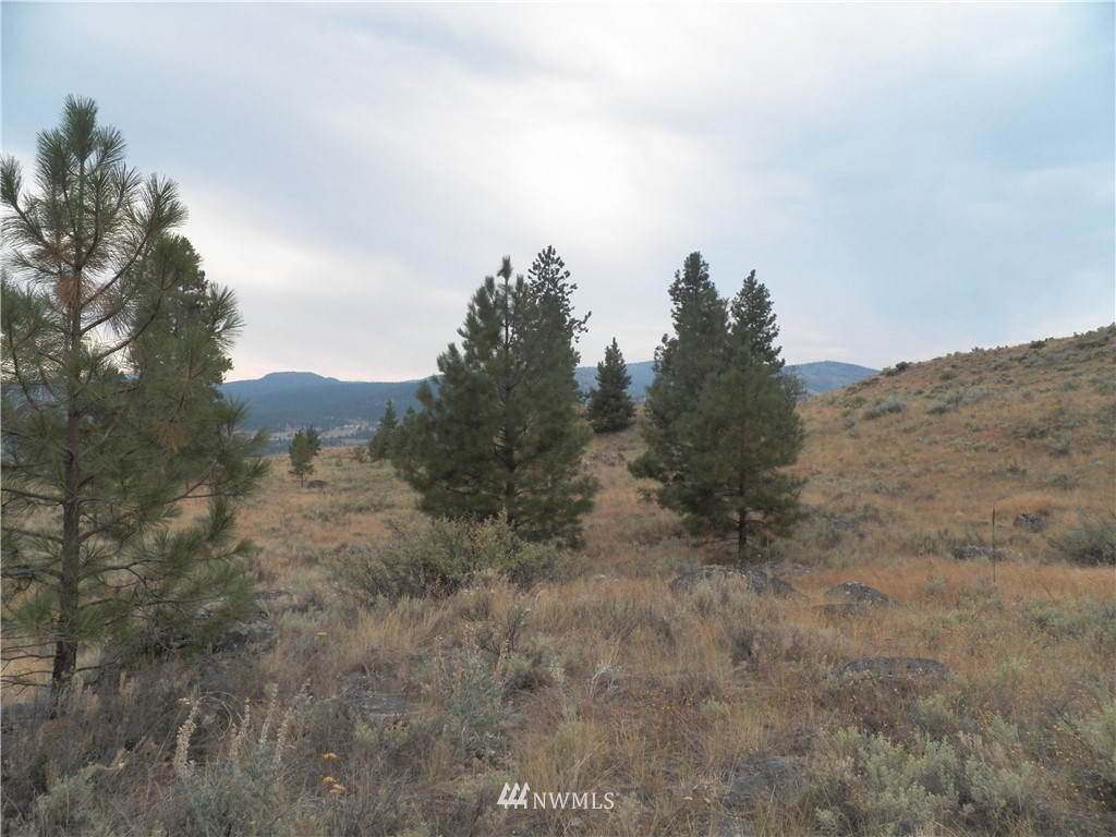 -tbd Cayuse Mountain Road Tonasket, WA 98855 - Photo 22 of 24 Gallery Image 22