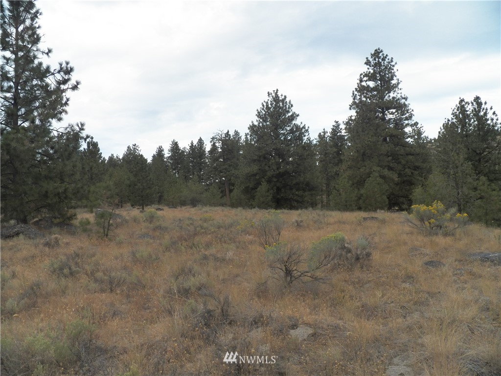 -tbd Cayuse Mountain Road Tonasket, WA 98855 - Photo 23 of 24 Gallery Image 23