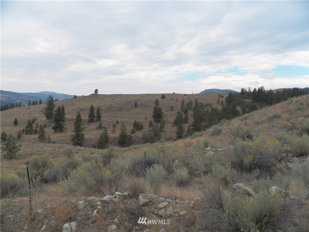 -tbd Cayuse Mountain Road Tonasket, WA 98855 - Photo 4 of 24 Gallery Image 4