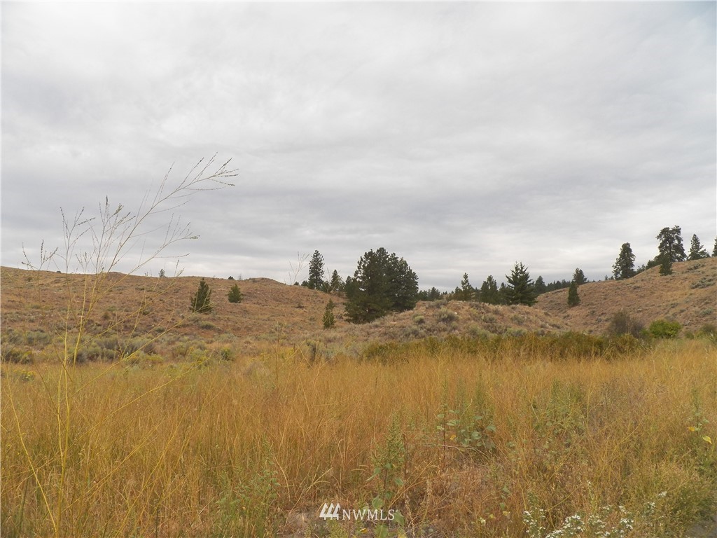 -tbd Cayuse Mountain Road Tonasket, WA 98855 - Photo 5 of 24 Gallery Image 5