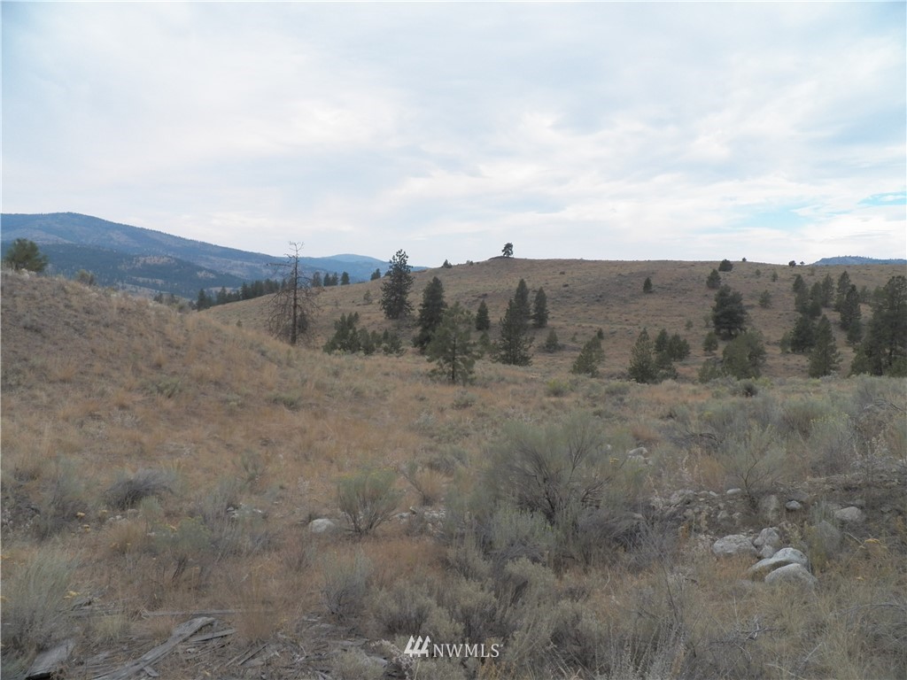 -tbd Cayuse Mountain Road Tonasket, WA 98855 - Photo 7 of 24 Gallery Image 7