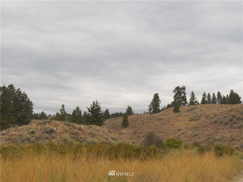 -tbd Cayuse Mountain Road Tonasket, WA 98855 - Photo 8 of 24 Gallery Image 8
