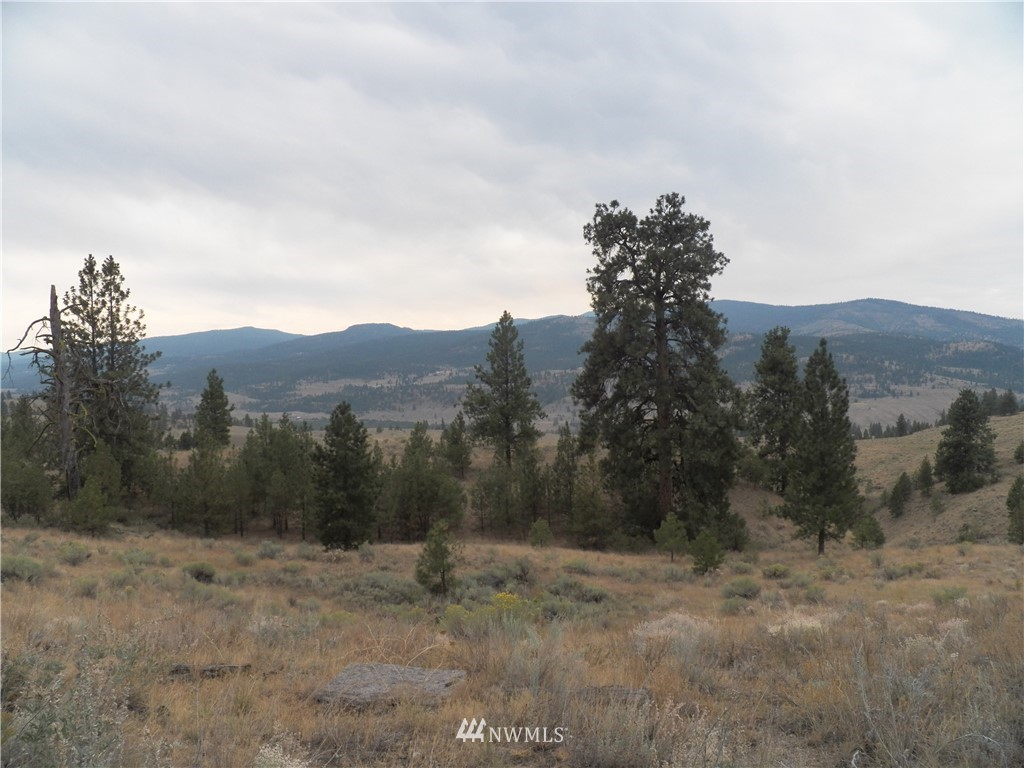 -tbd Cayuse Mountain Road Tonasket, WA 98855 - Photo 10 of 24 Gallery Image 10