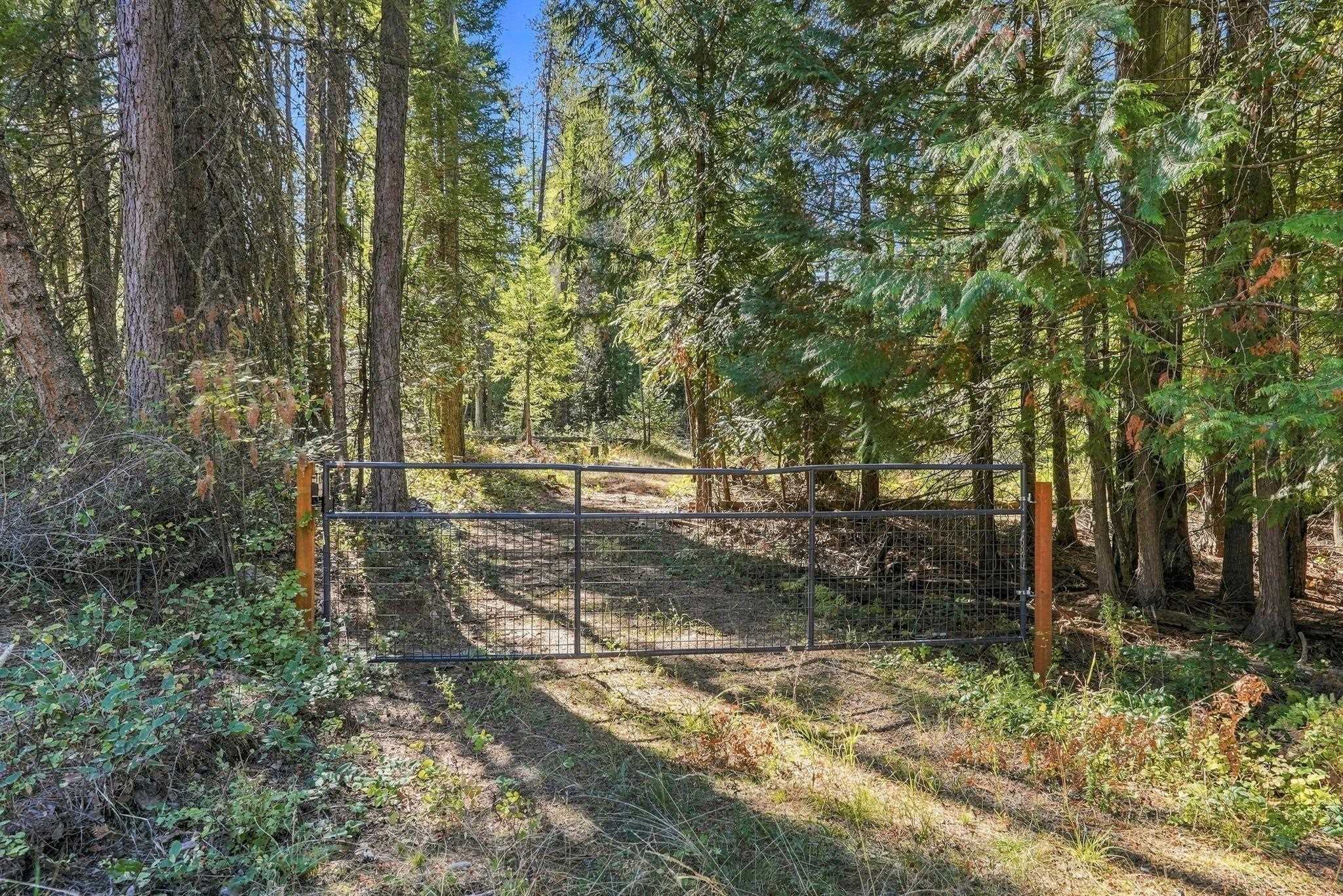199 Casey Court Newport, WA 99156 - Photo 3 of 29 Gallery Image 3