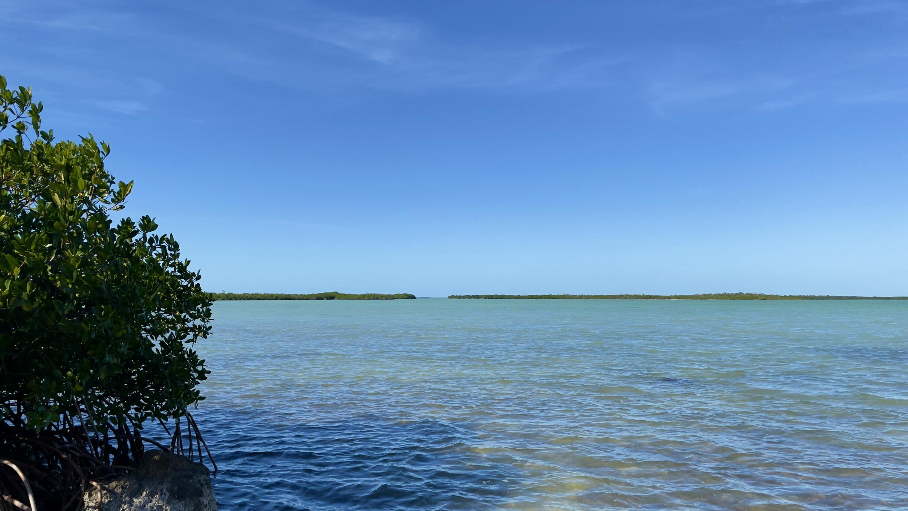 813 2nd Street Key West, FL 33040 - Photo 1 of 49 tempImagegobHxs