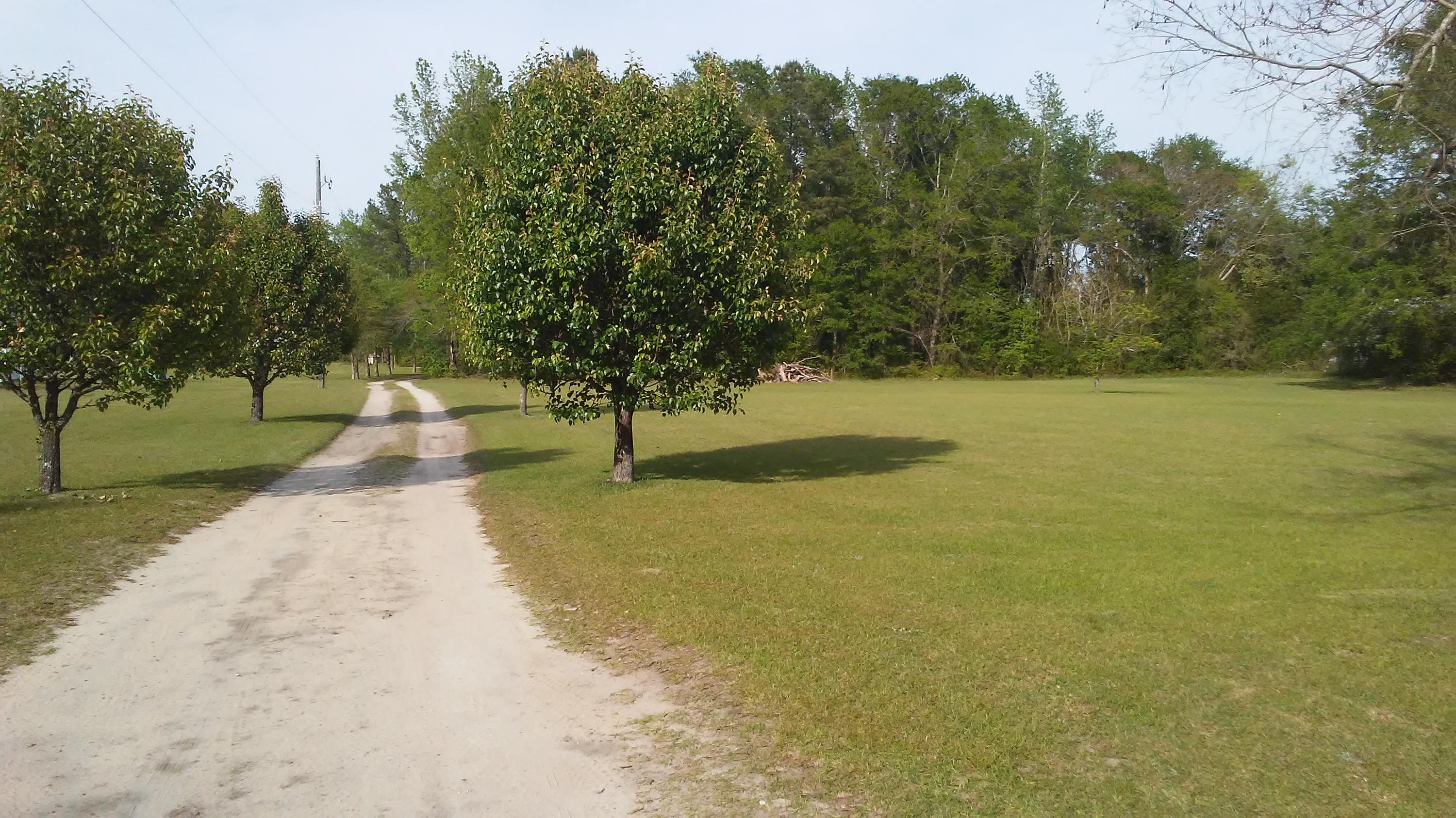 680 Fourwind Road Holly Hill, SC 29059 - Photo 2 of 12 20170412_172838