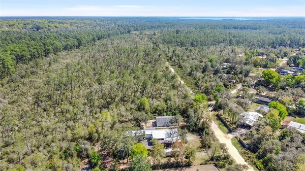 a view of a city with lush green forest