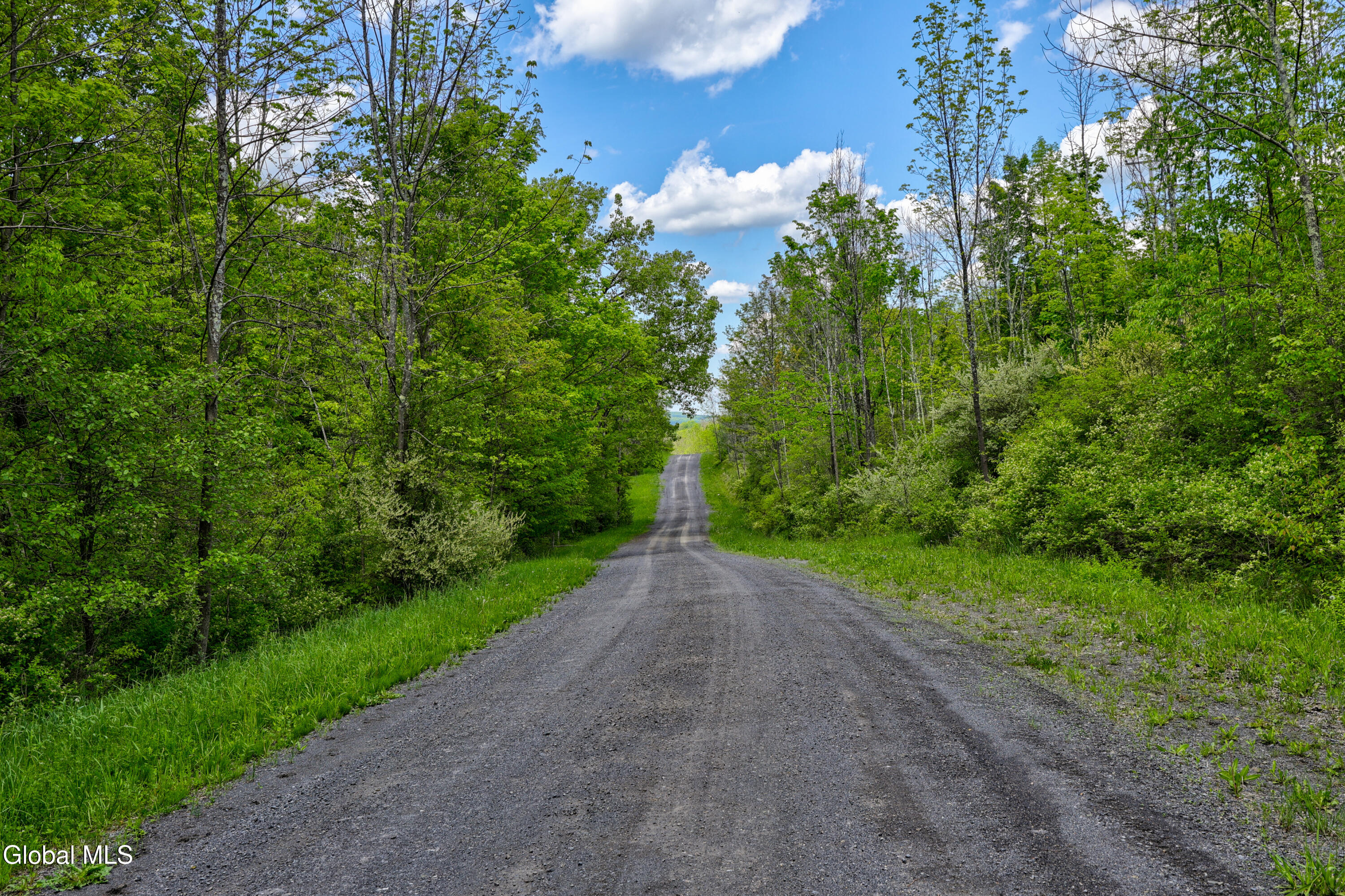441 Hite Road Warnerville, NY 12187 - Photo 26 of 39 1 (25)