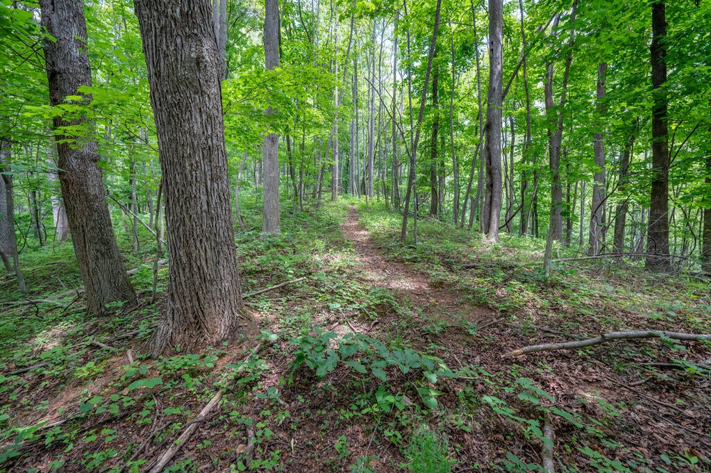 72-acres Trot Valley Road Stuart, VA 24171 - Photo 7 of 31 Gallery Image 7