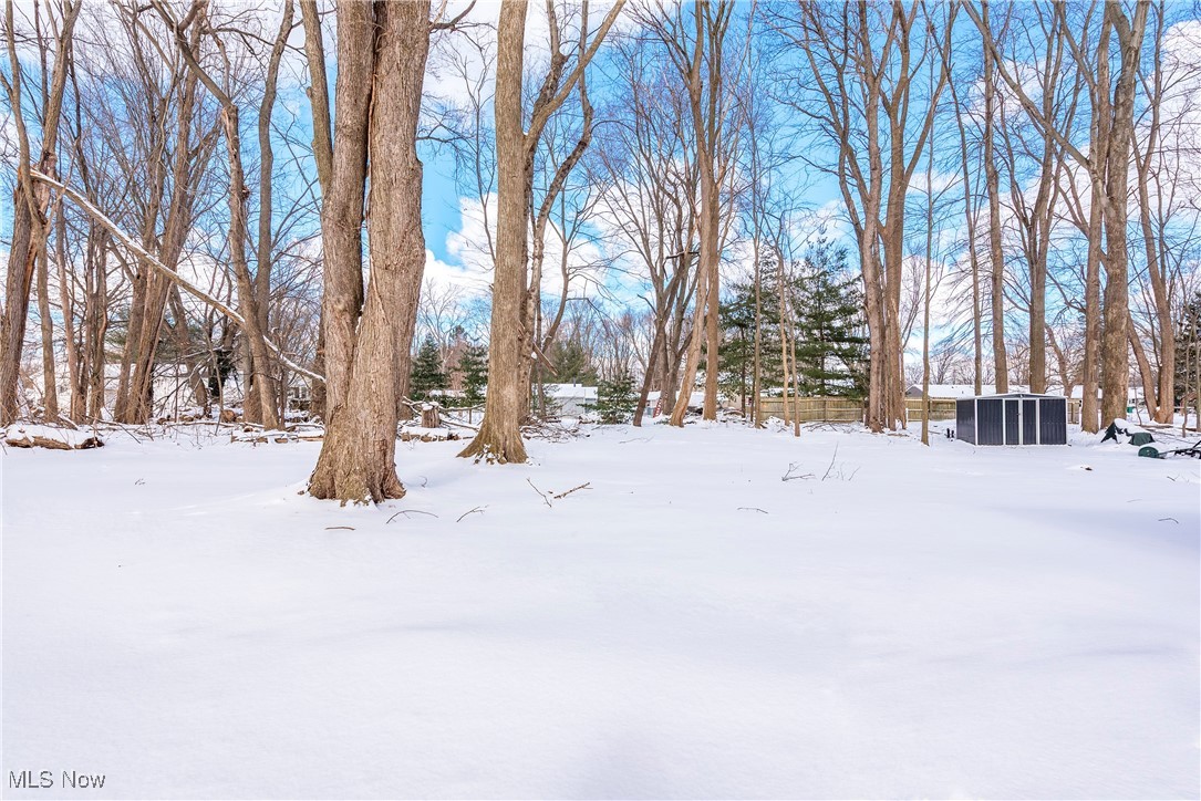 8767 Edgehill Road Mentor, OH 44060 - Photo 39 of 47 View of yard covered in snow