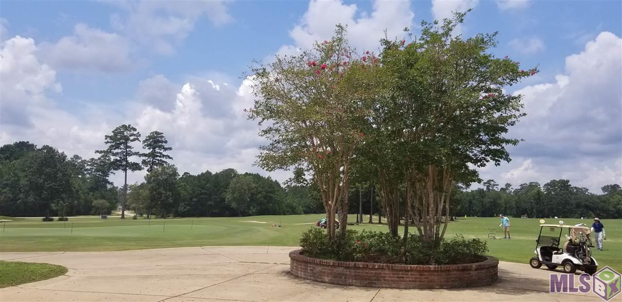 30946 Carter Cemetery Road Springfield, LA 70462 - Photo 20 of 25 Golf Course