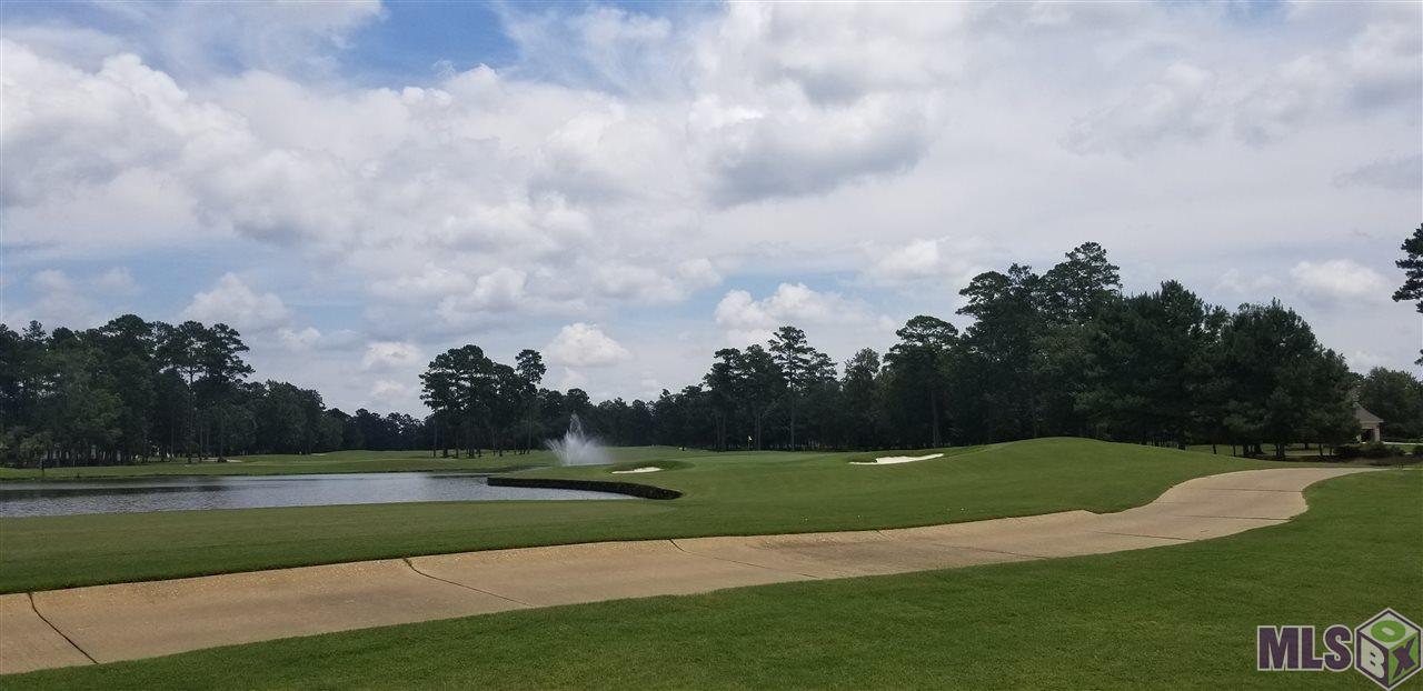 30946 Carter Cemetery Road Springfield, LA 70462 - Photo 21 of 25 Golf Course