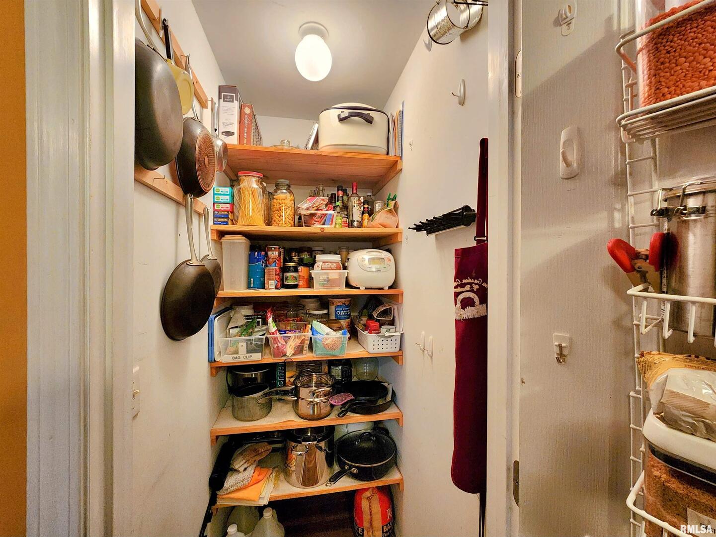 156 Hanover Lane Murphysboro, IL 62966 - Photo 17 of 63 a view of walk in closet