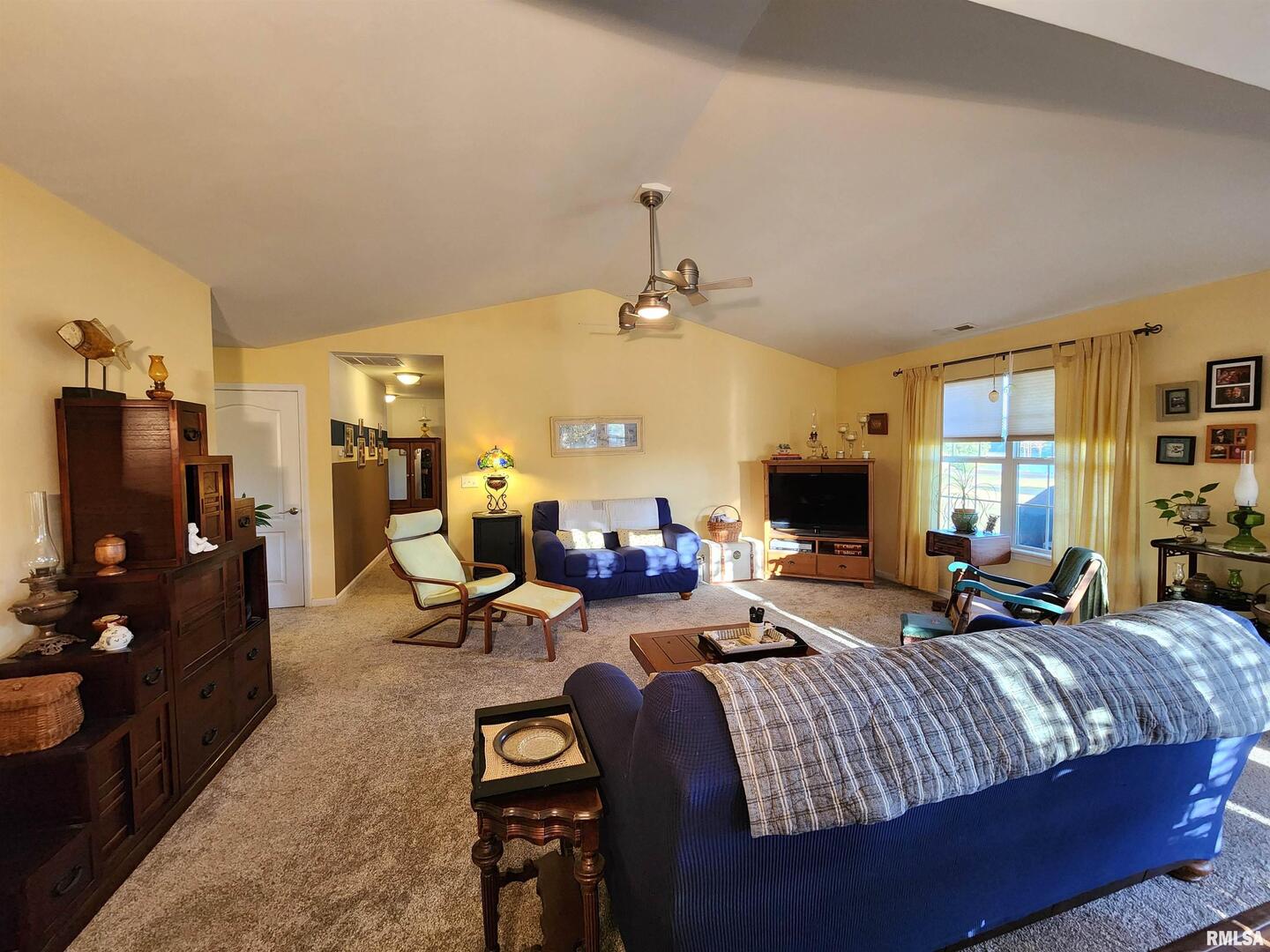 156 Hanover Lane Murphysboro, IL 62966 - Photo 23 of 63 a living room with furniture a fireplace and a flat screen tv