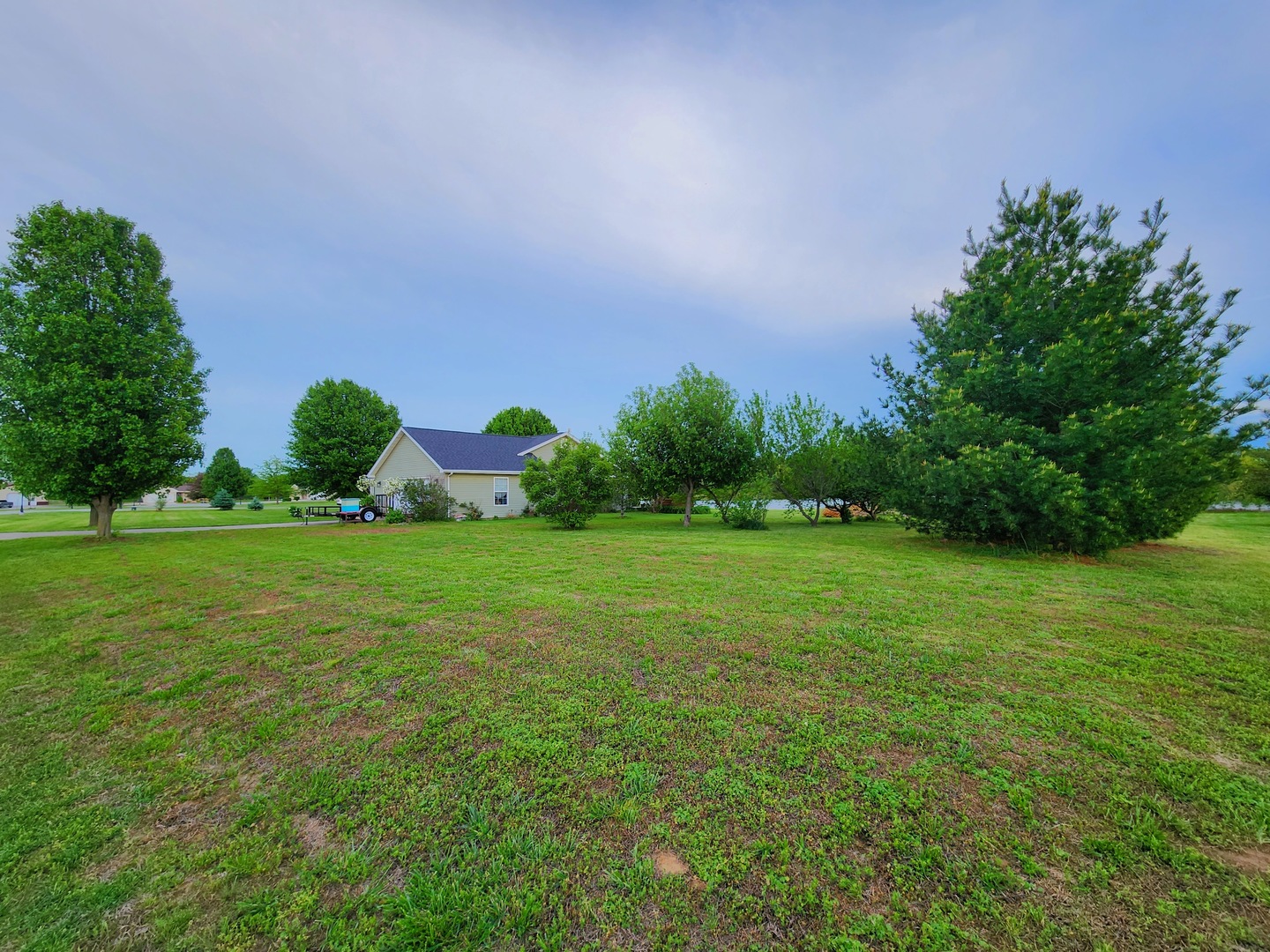 156 Hanover Lane Murphysboro, IL 62966 - Photo 49 of 63 a view of a field with grass and trees