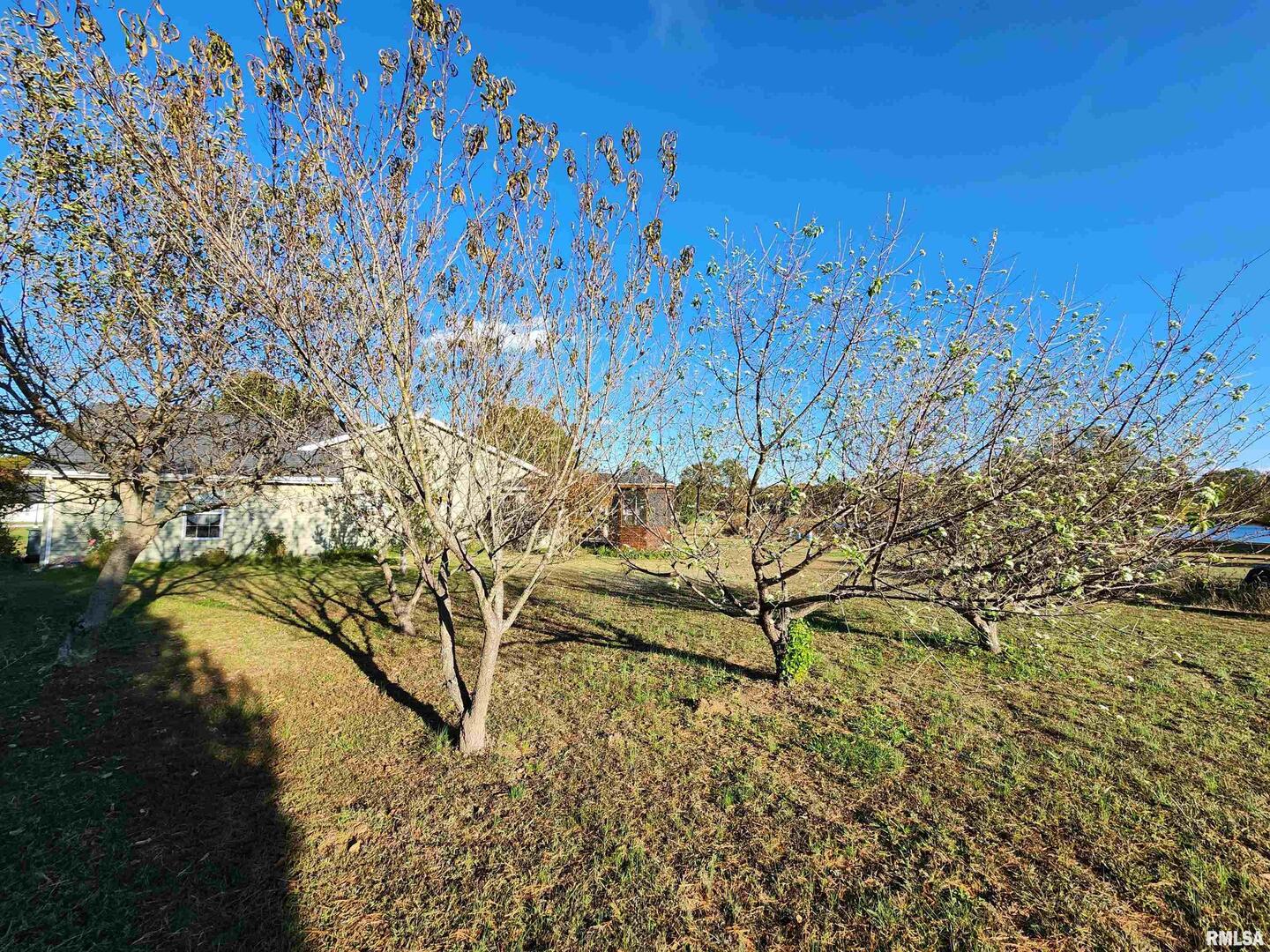 156 Hanover Lane Murphysboro, IL 62966 - Photo 53 of 62