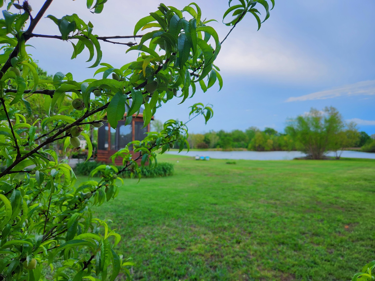 156 Hanover Lane Murphysboro, IL 62966 - Photo 53 of 63 a view of a garden with a flower in a garden