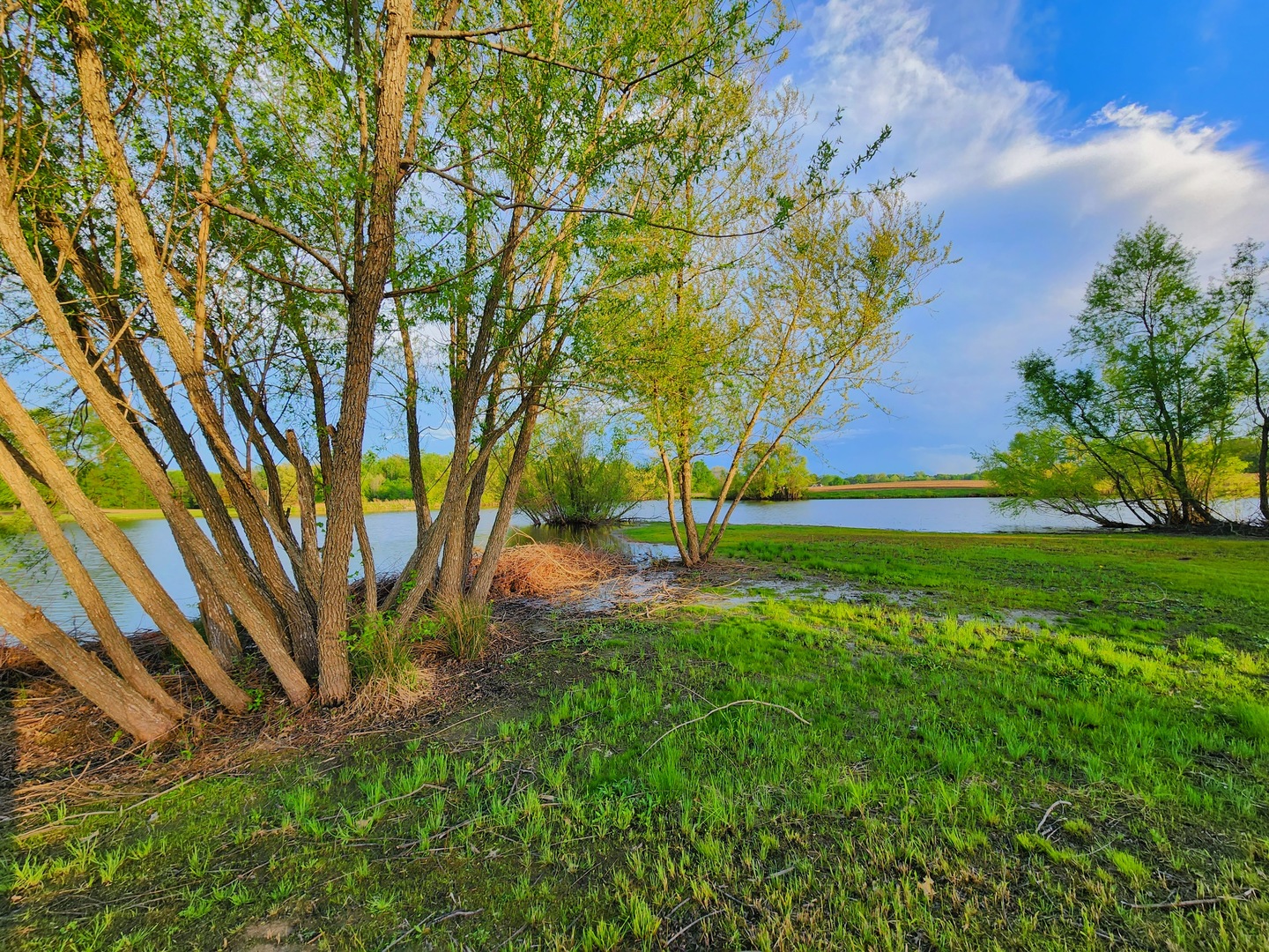 156 Hanover Lane Murphysboro, IL 62966 - Photo 58 of 63 a view of a backyard with green space