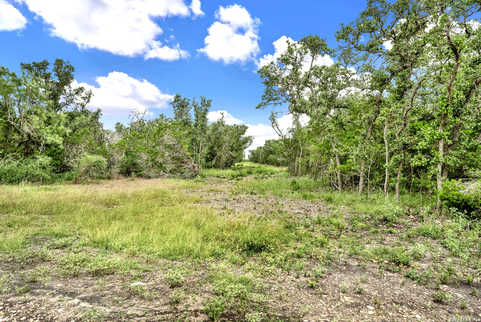 0 Fm 1796 D'Hanis, TX 78850 - Photo 17 of 26 a view of yard with green space