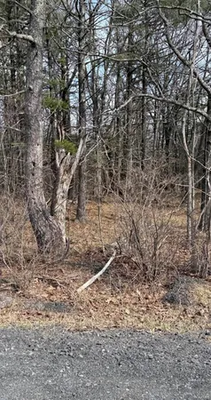 $180,000 | 312 County Route, Coeymans, NY 12045