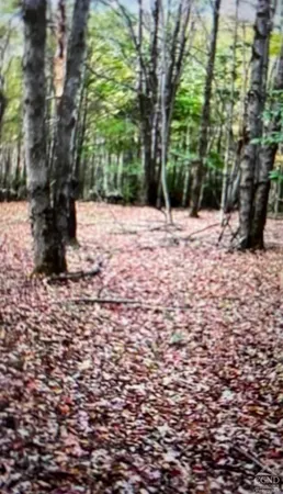 $180,000 | 312 County Route, Coeymans, NY 12045
