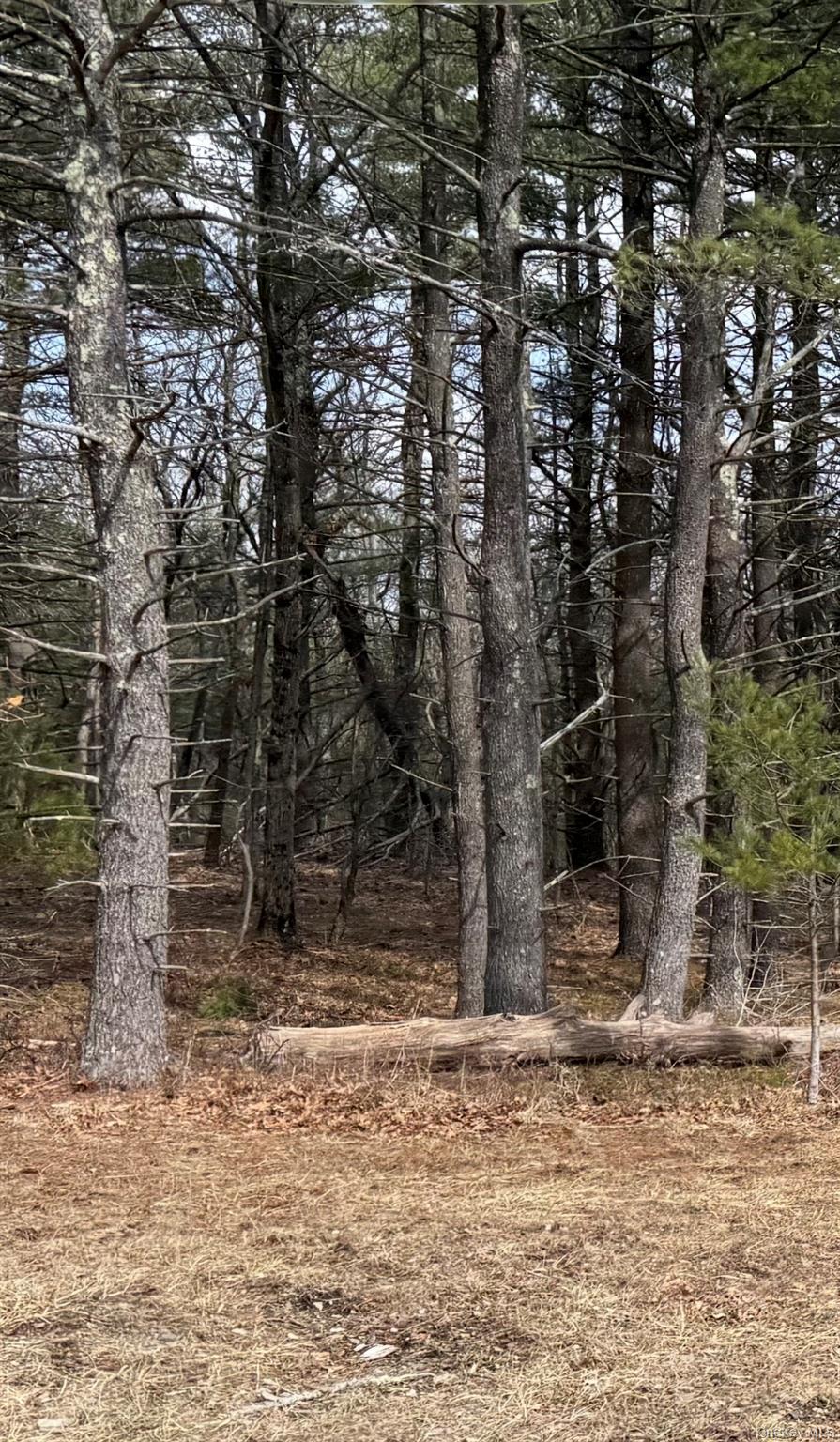 312 County Route Coeymans, NY 12045 - Photo 7 of 7 a backyard of a house