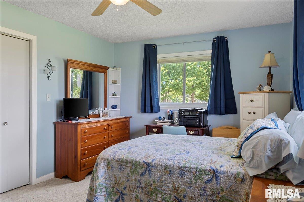 384 South Bradfordton Road Springfield, IL 62711 - Photo 20 of 33