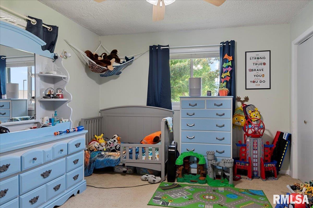 384 South Bradfordton Road Springfield, IL 62711 - Photo 21 of 33