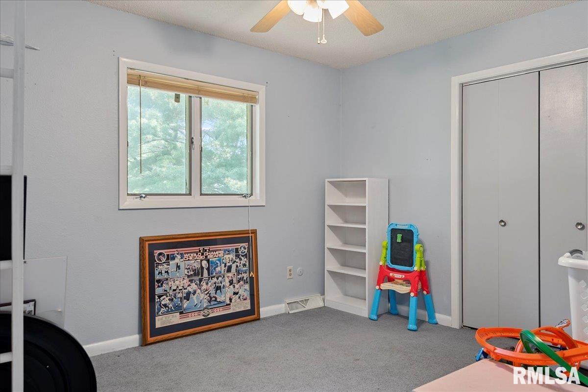 384 South Bradfordton Road Springfield, IL 62711 - Photo 24 of 33