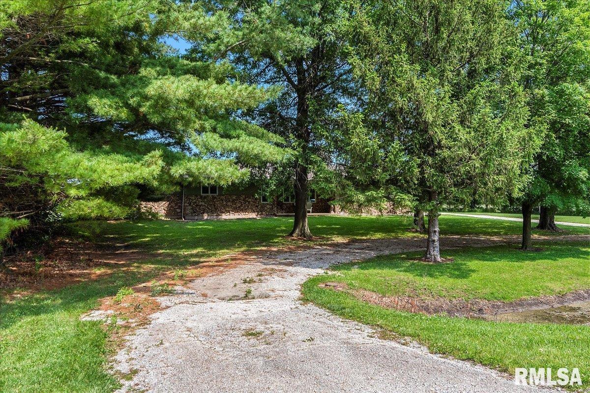 384 South Bradfordton Road Springfield, IL 62711 - Photo 4 of 33