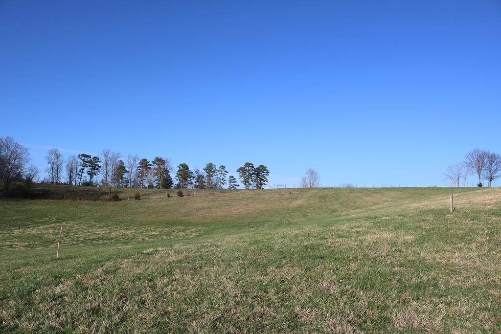 21 County Line Road Dandridge, TN 37725 - Photo 5 of 5