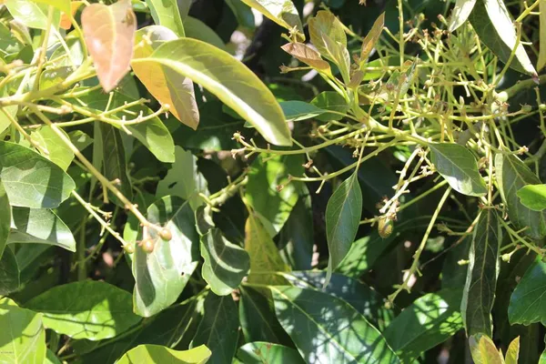 a view of swimming pool with a patio