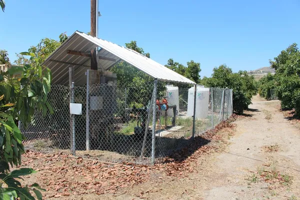 a view of a fireplace with potted plants