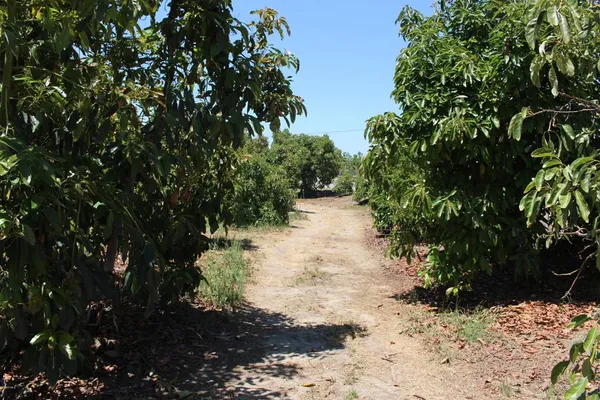 $1,949,000 | 0 Camulos Street, Piru, CA 93040