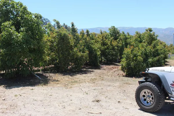 $1,949,000 | 0 Camulos Street, Piru, CA 93040