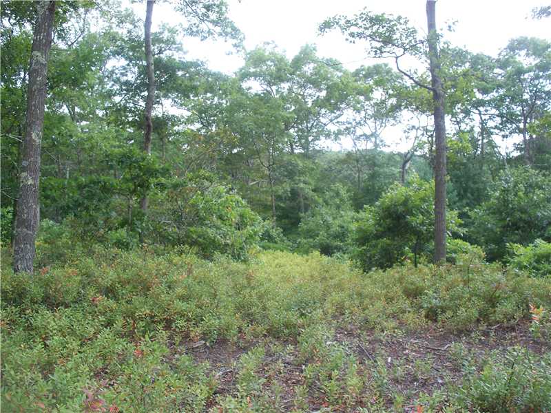 Land/Lot.