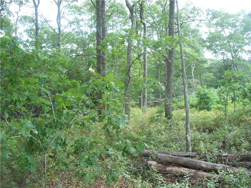 3 Fallon Trail Westerly, RI 02891 - Photo 3 of 3 Land/Lot.