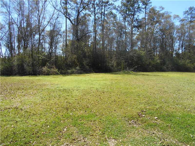41265 South Preston Road Hammond, LA 70403 - Photo 4 of 12