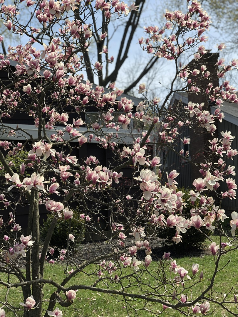 3530 Hillside Road Evanston, IL 60201 - Photo 27 of 27