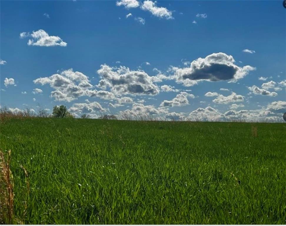 195th Street Easton, KS 66020 - Photo 2 of 3