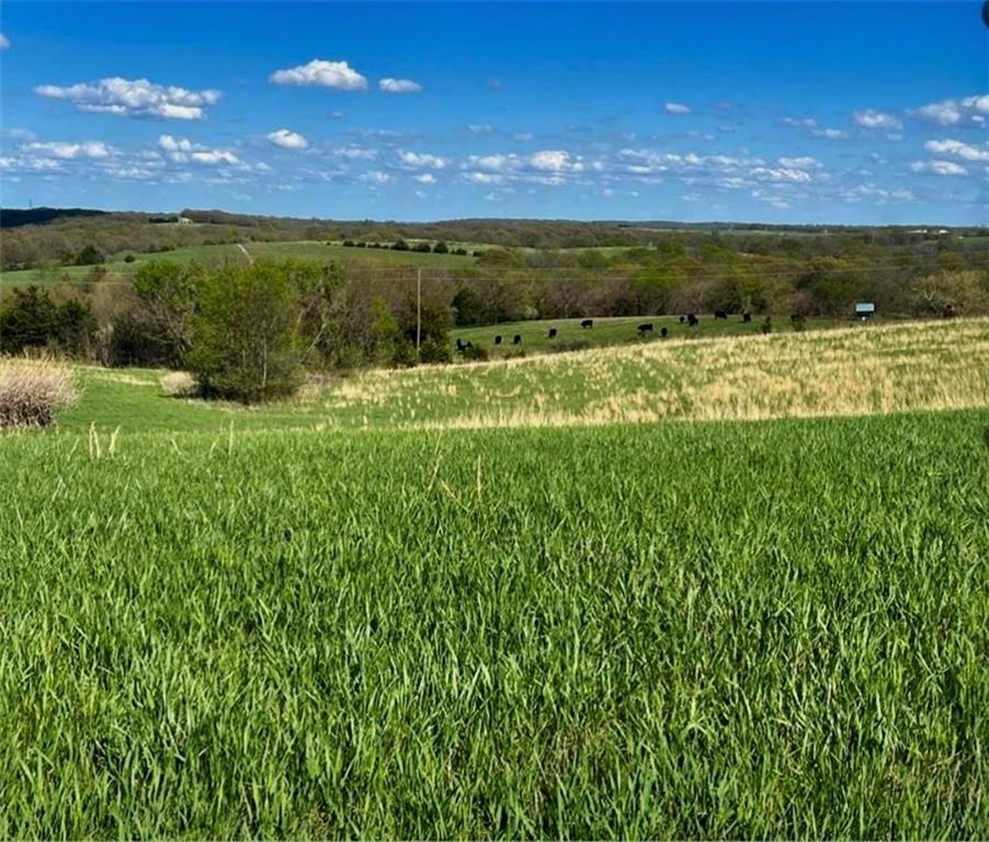 195th Street Easton, KS 66020 - Photo 3 of 3