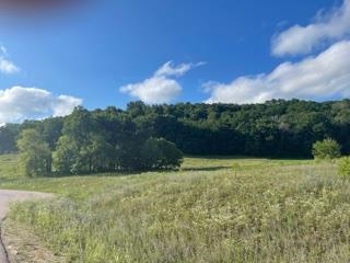 Lot 5 Pheasant Trl Ln  