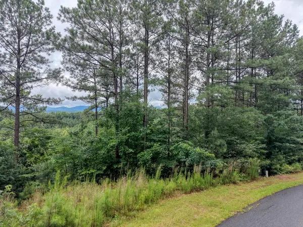 a view of a lush green forest with lots of trees