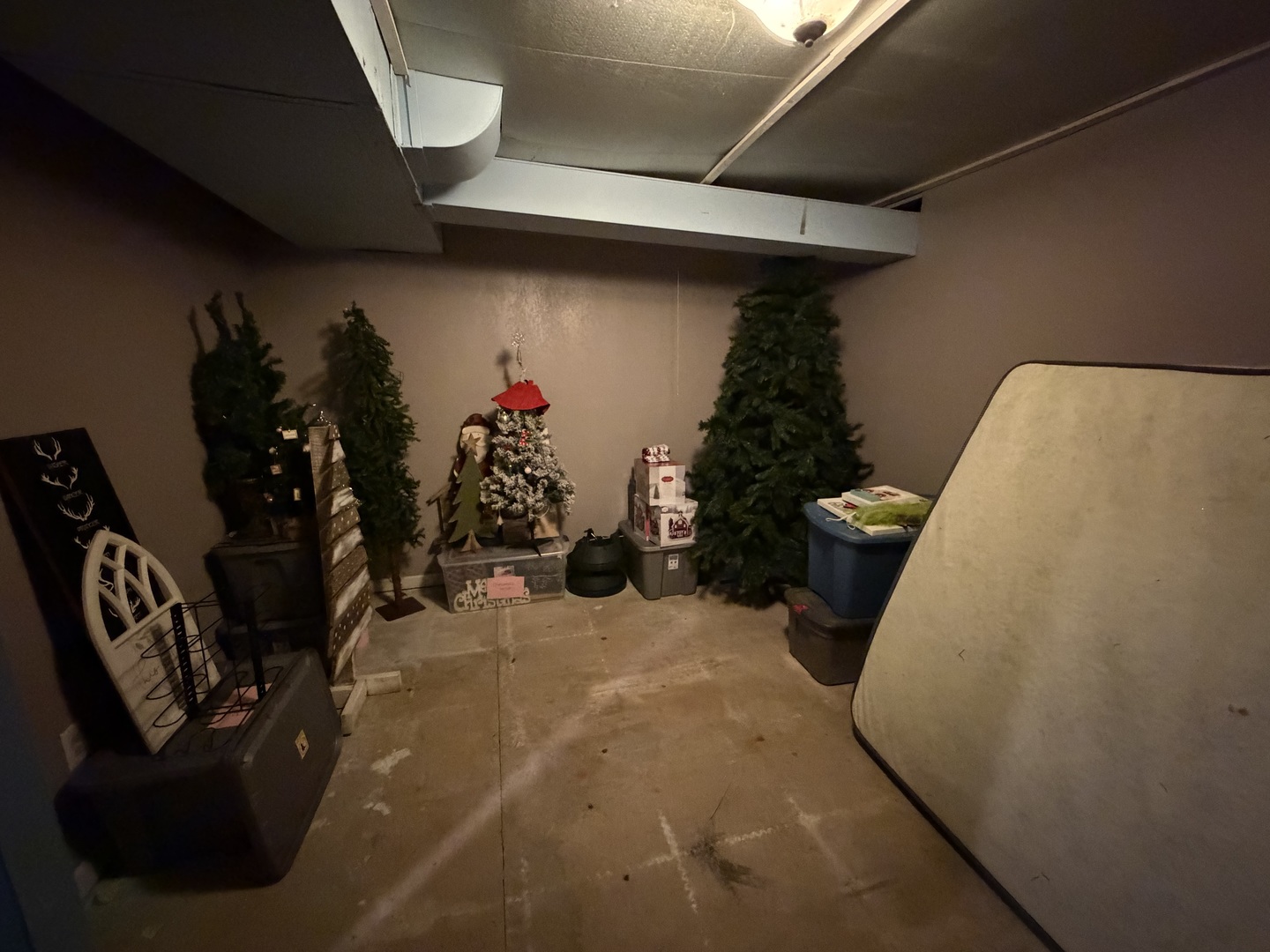 5179 Wright Road Alma, IL 62807 - Photo 27 of 28