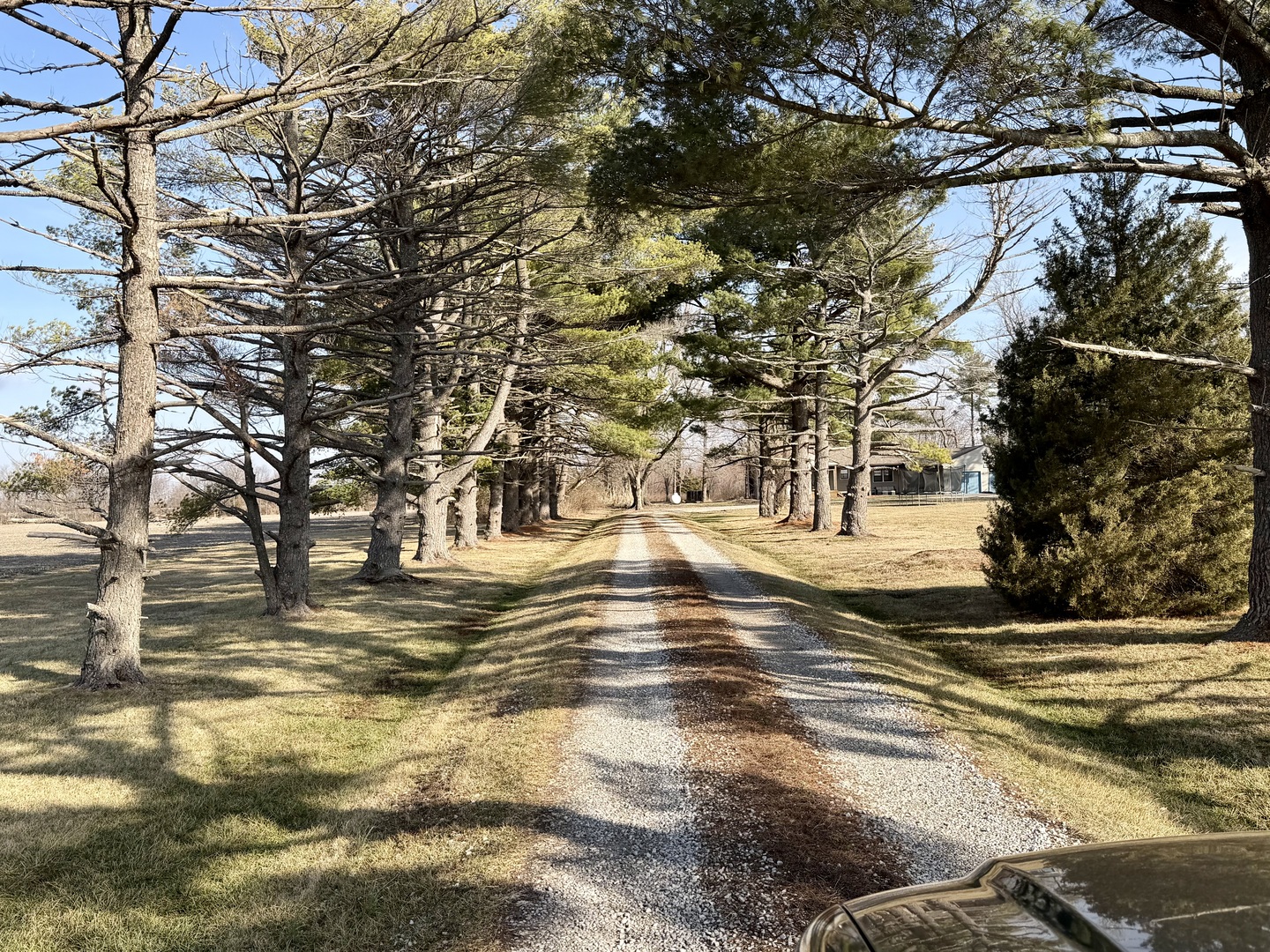 5179 Wright Road Alma, IL 62807 - Photo 4 of 28 a view of road with large trees