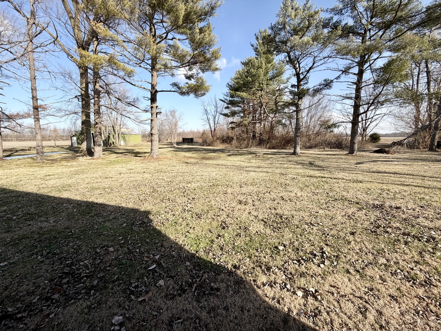 5179 Wright Road Alma, IL 62807 - Photo 5 of 28 a view of a yard with trees