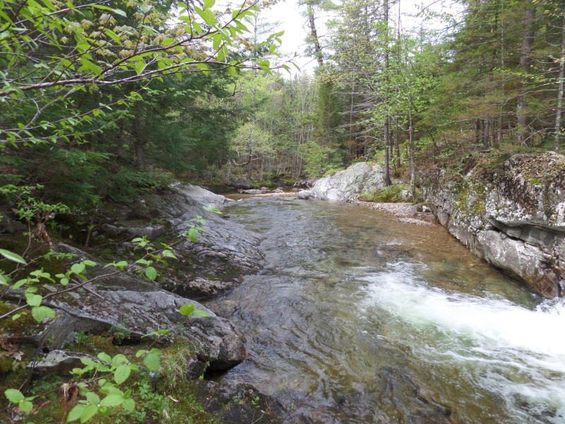 271 Hut Road Stoneham, ME 04231 - Photo 63 of 67 20190612163912358775000000-o