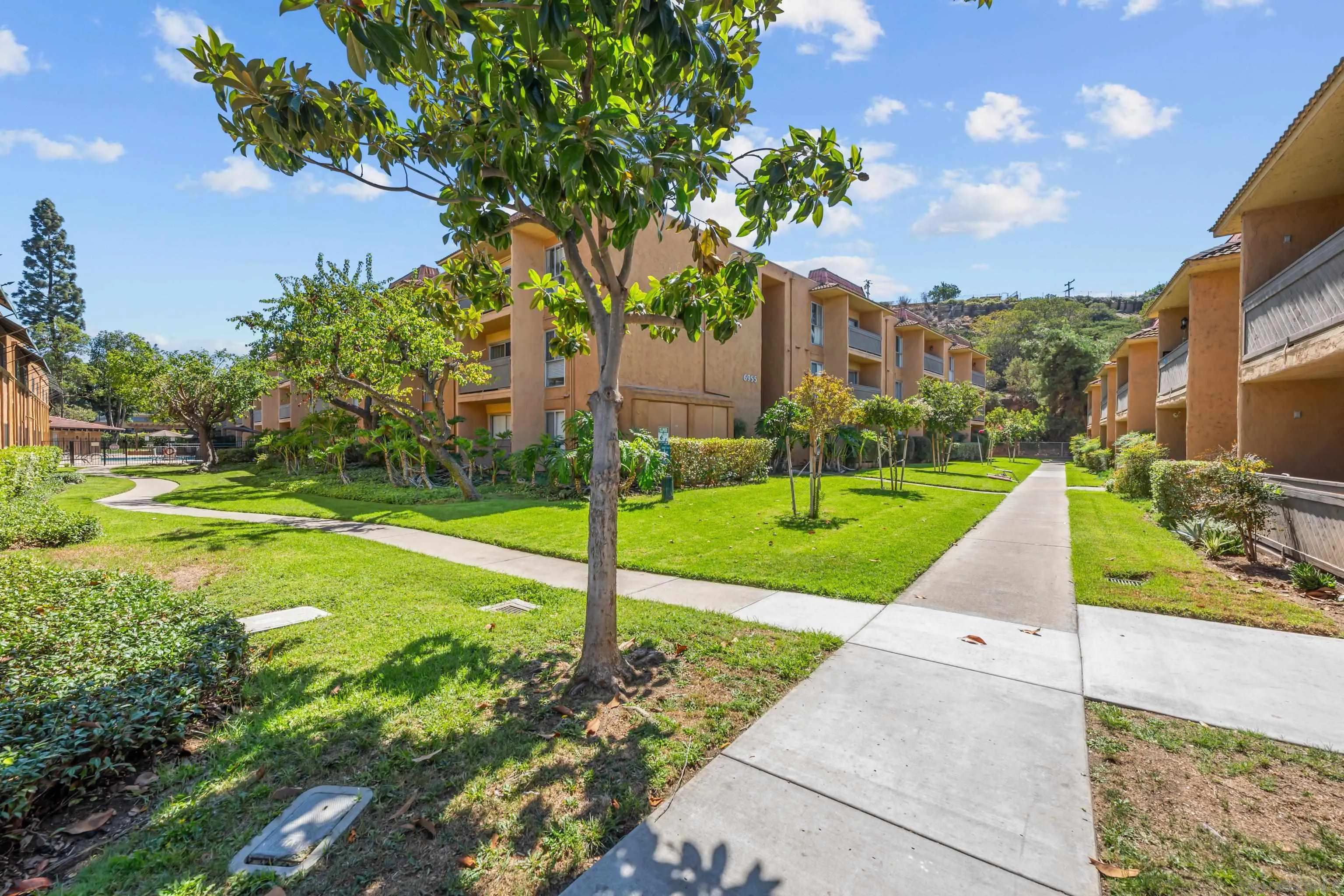 6911 Alvarado Road, Unit 20 San Diego, CA 92120 - Photo 2 of 28 a view of a park with large trees